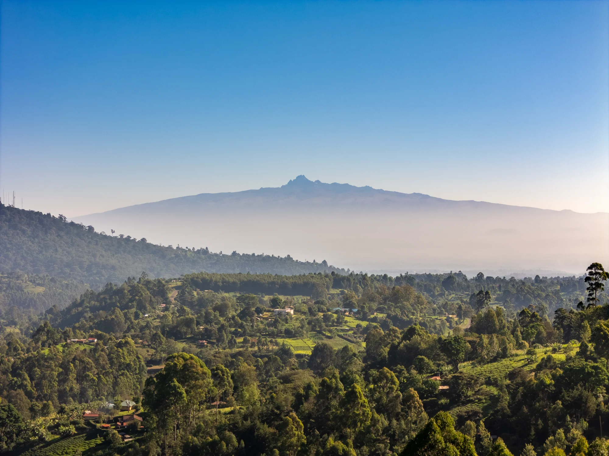 Paradise Farm Cottages Nyeri